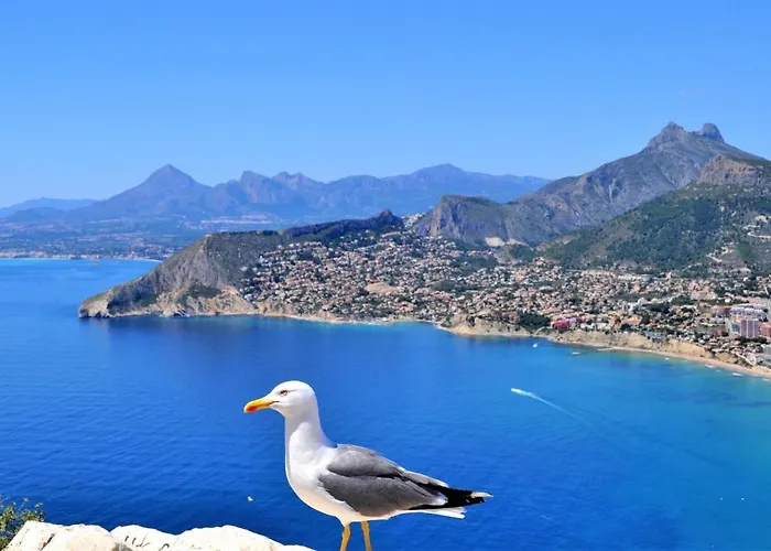 Acan0916 Willa Calpe